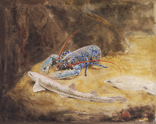 Aquarium with three North Sea fish Lobster, Dogfish and Plaice (ca.1876–1924) by Gerrit Willem Dijsselhof