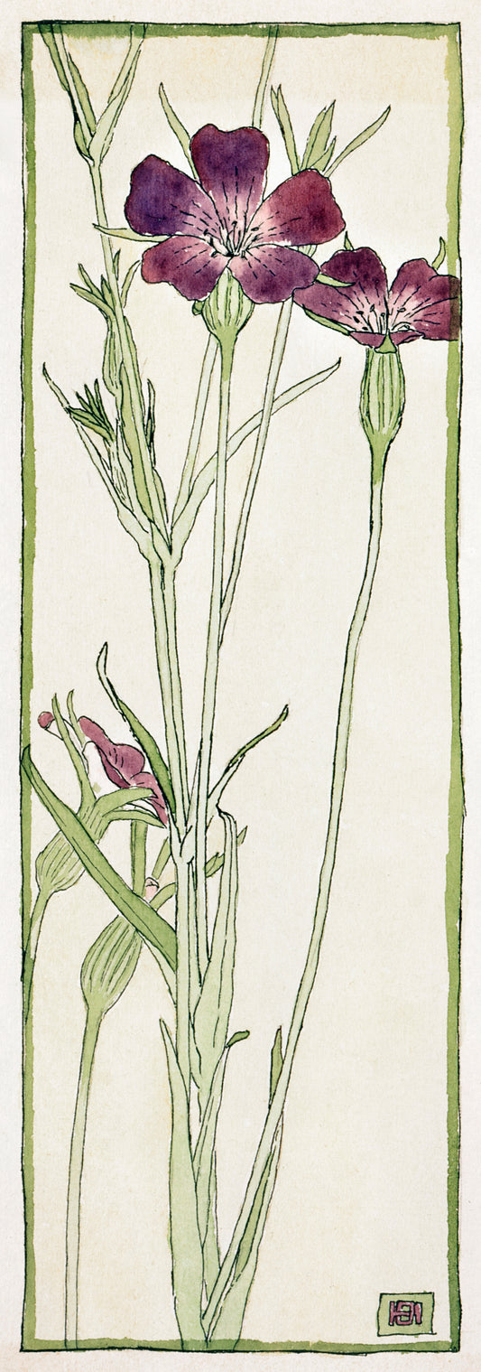 Corn Cockle (1915) by Hannah Borger Overbeck