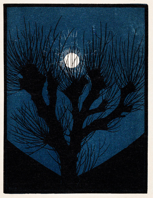 Moon Light (1920) by Julie de Graag