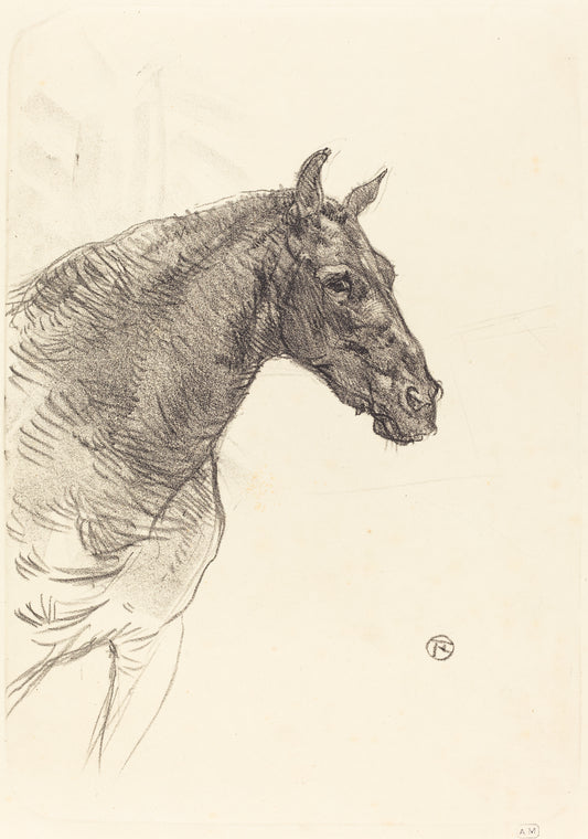 Old Horse (Le vieux cheval) (1897) by Henri de Toulouse–Lautrec