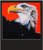 Falling Eagle